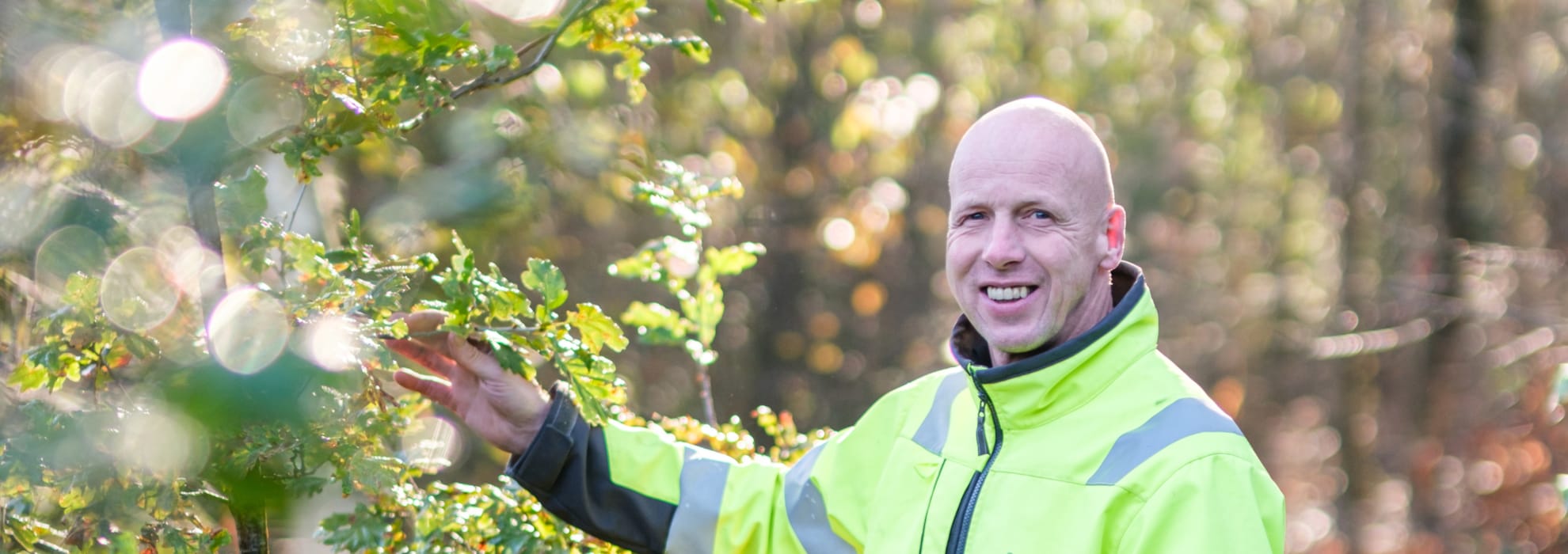 Foto van een ROVA-medewerker in een eikenhouthakbos